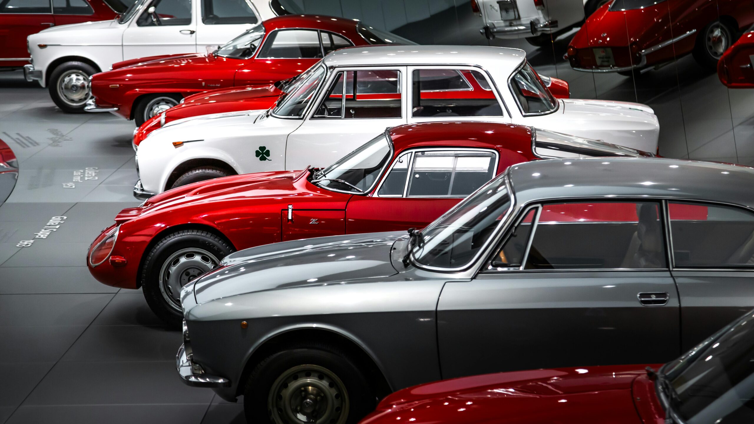 A striking collection of vintage Alfa Romeo cars showcased beautifully in a museum setting.